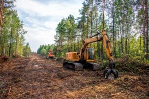 clearcutting service jonesboro ar